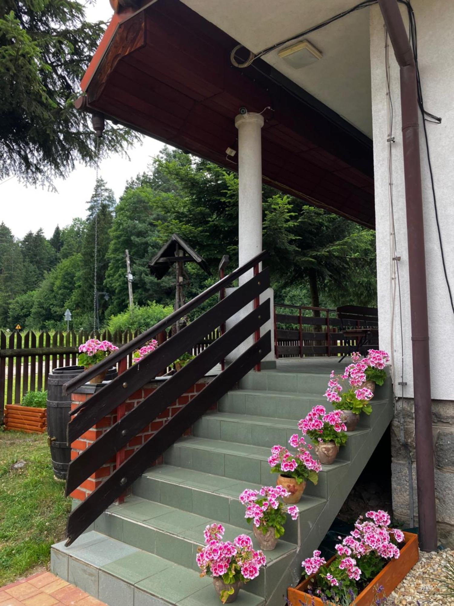 Base Camp Pieniny Hotell Niedzica Eksteriør bilde